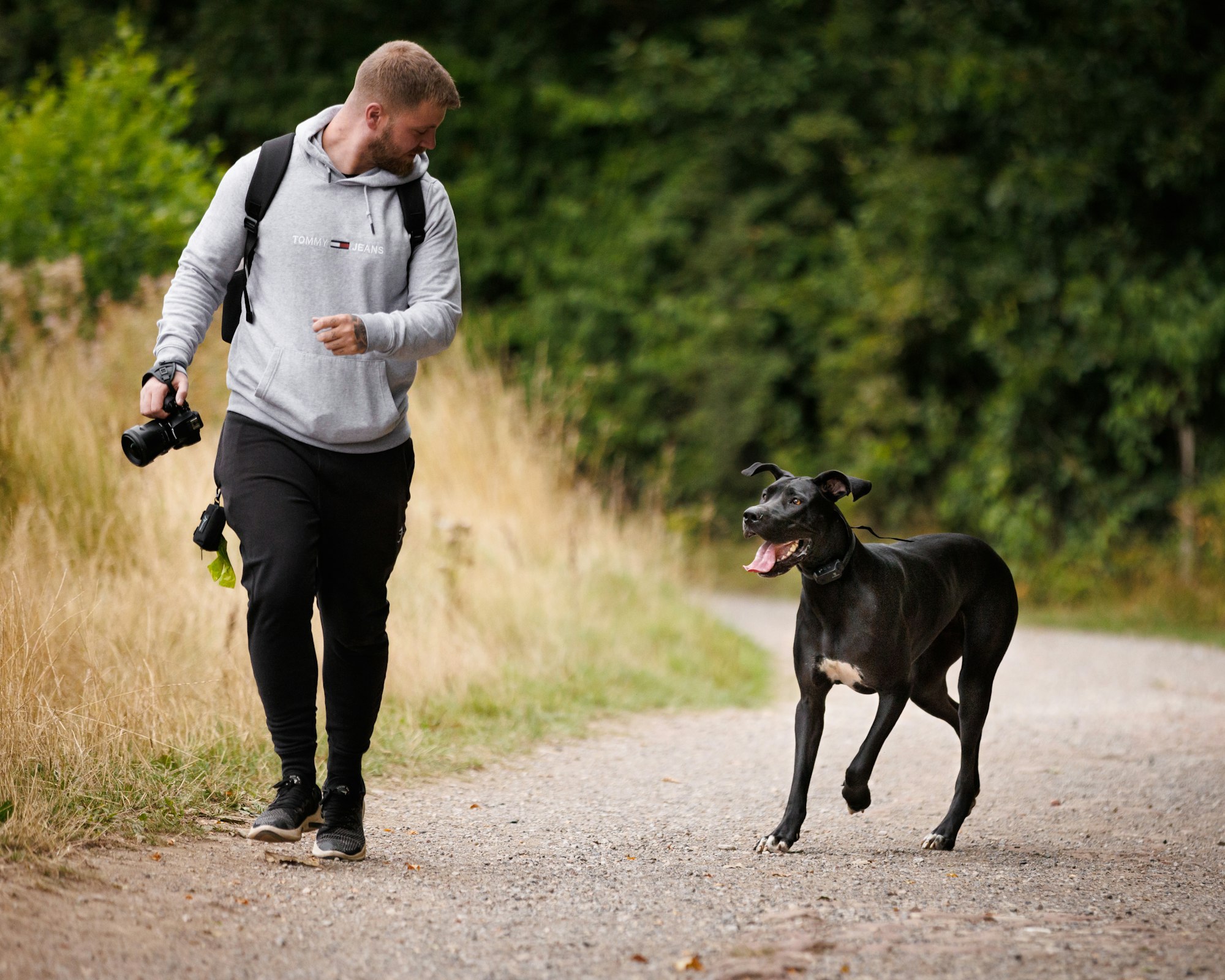 a man walking a dog down a dirt road