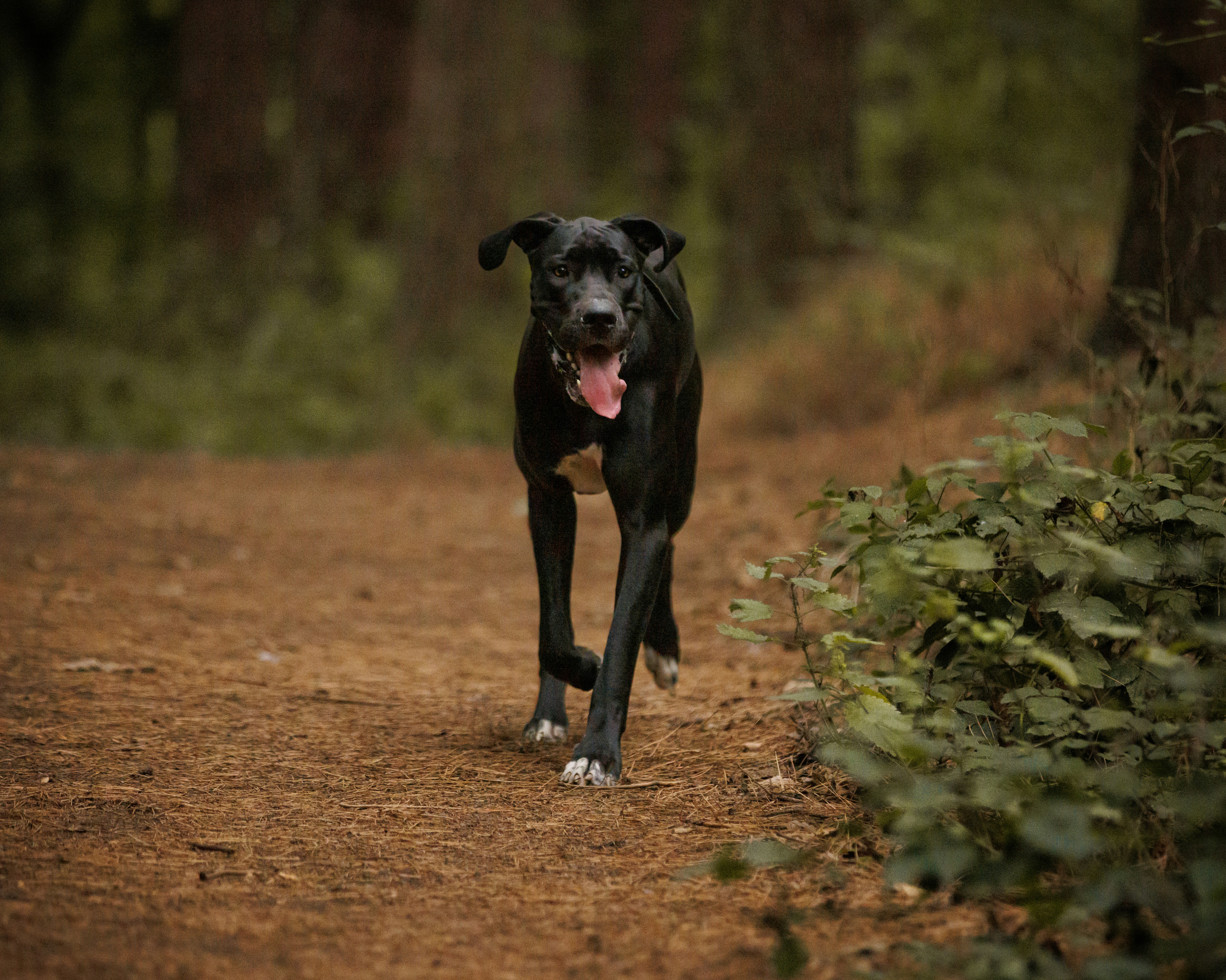 Photo by benofthenorth