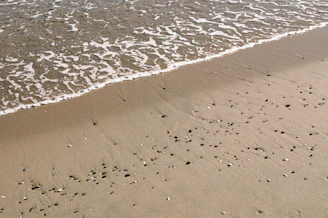 A delicate print capturing gentle waves lapping on a sandy shore dotted with seashells.