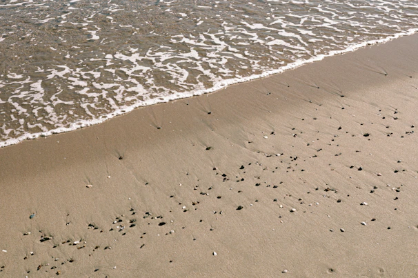 A delicate print capturing gentle waves lapping on a sandy shore dotted with seashells.