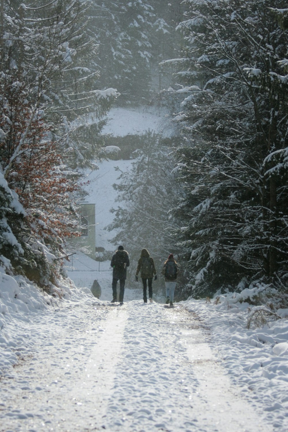 a group of people walking down a snow covered road