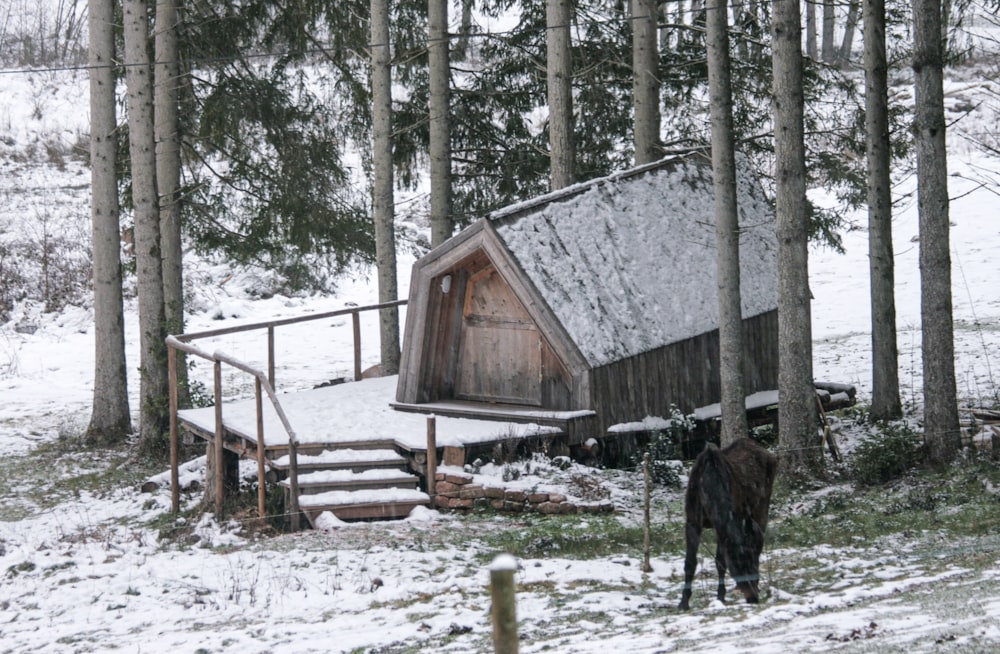 Un caballo parado en la nieve junto a una cabaña