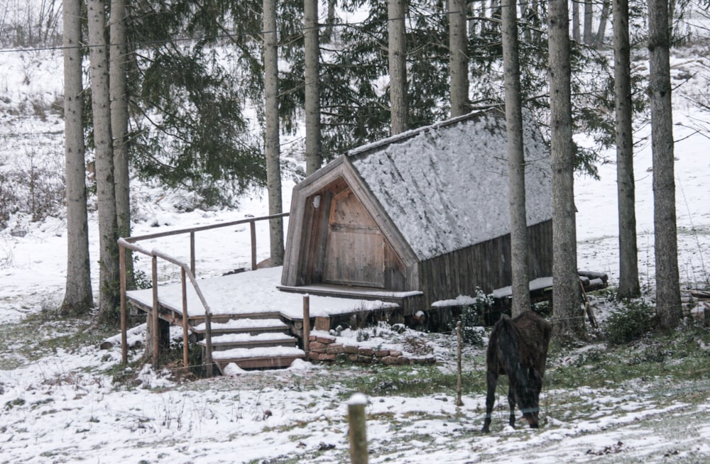 a horse standing in the snow next to a cabin