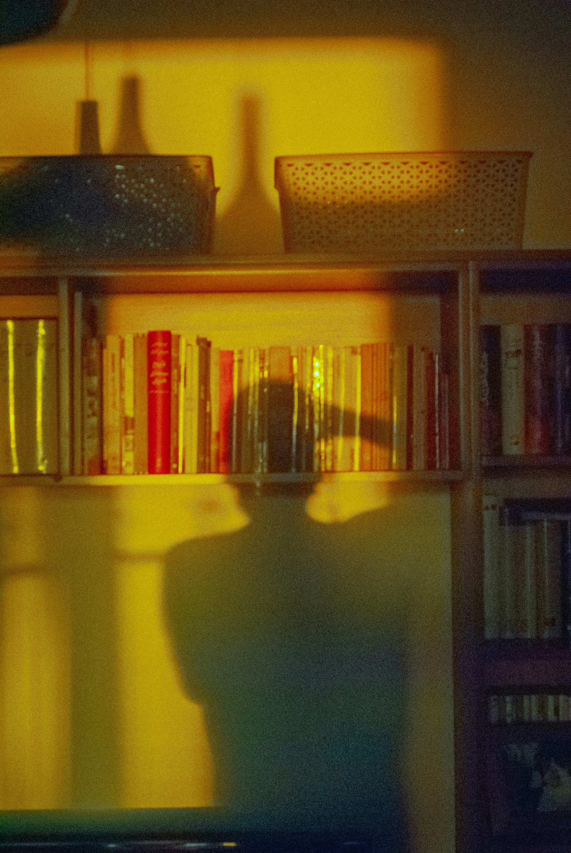 Photo by navid_nazari