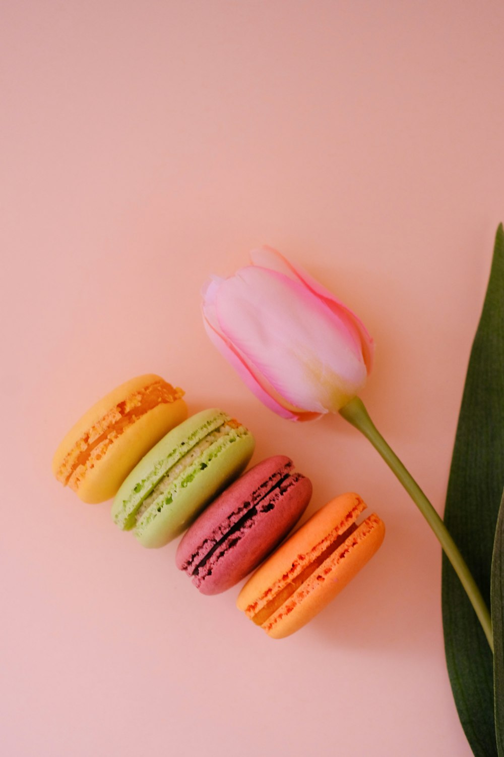 a pink tulip sitting next to a row of macaroons