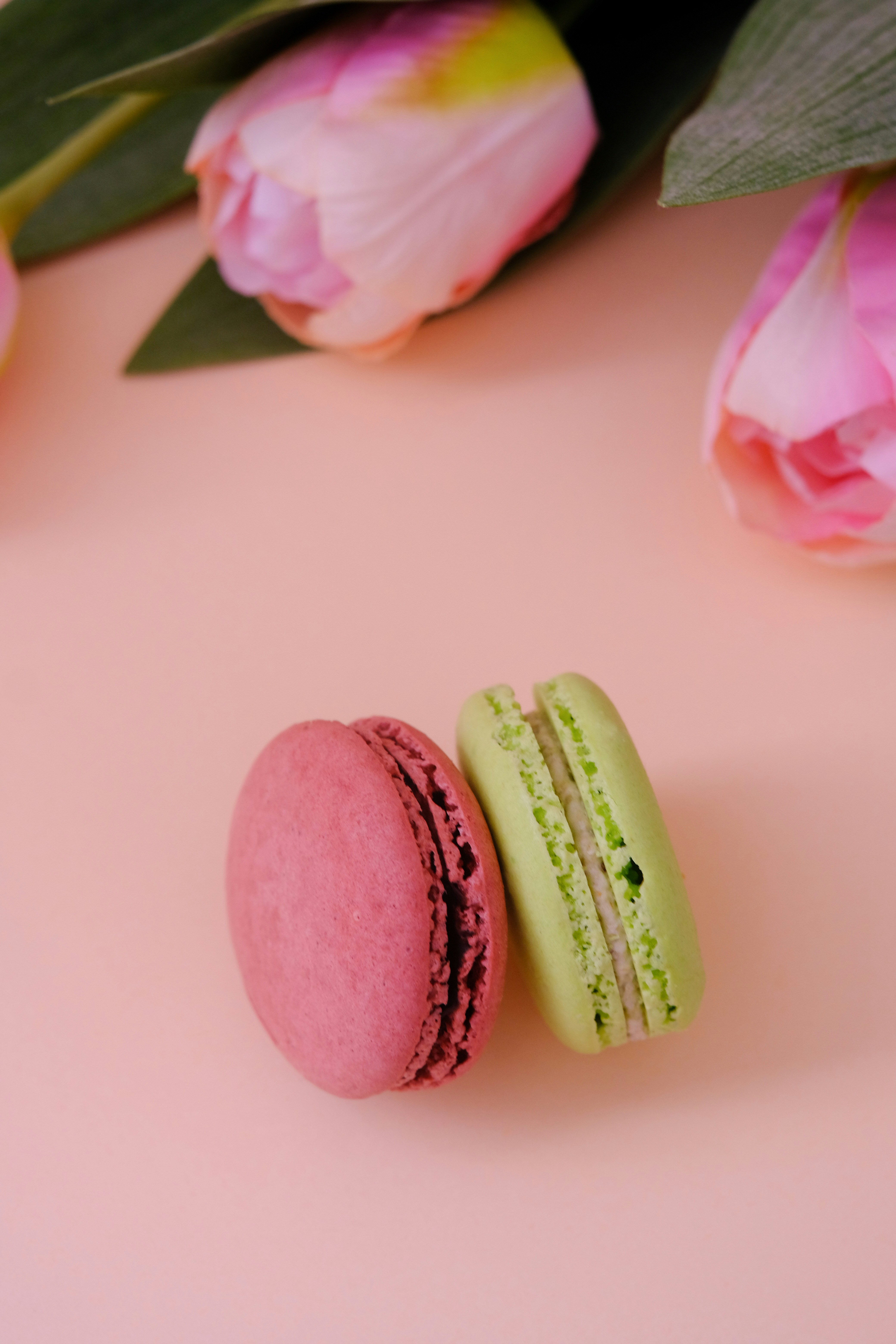 Photo by muverrihhanim