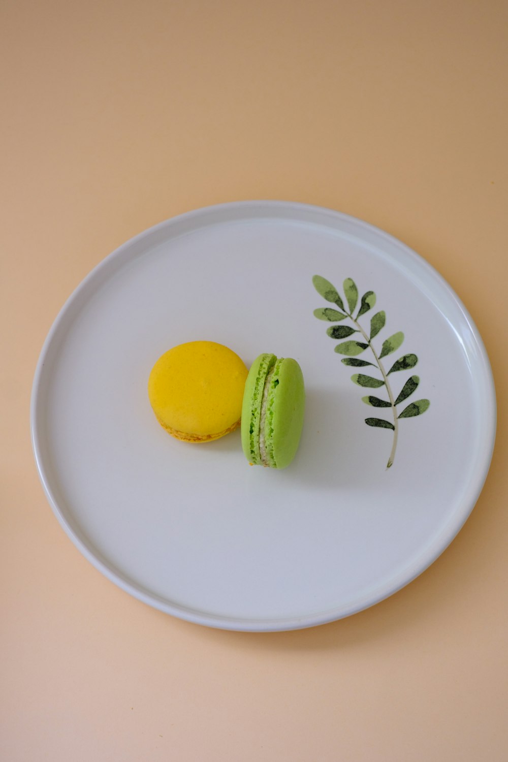 a white plate topped with a macaroni and a leaf