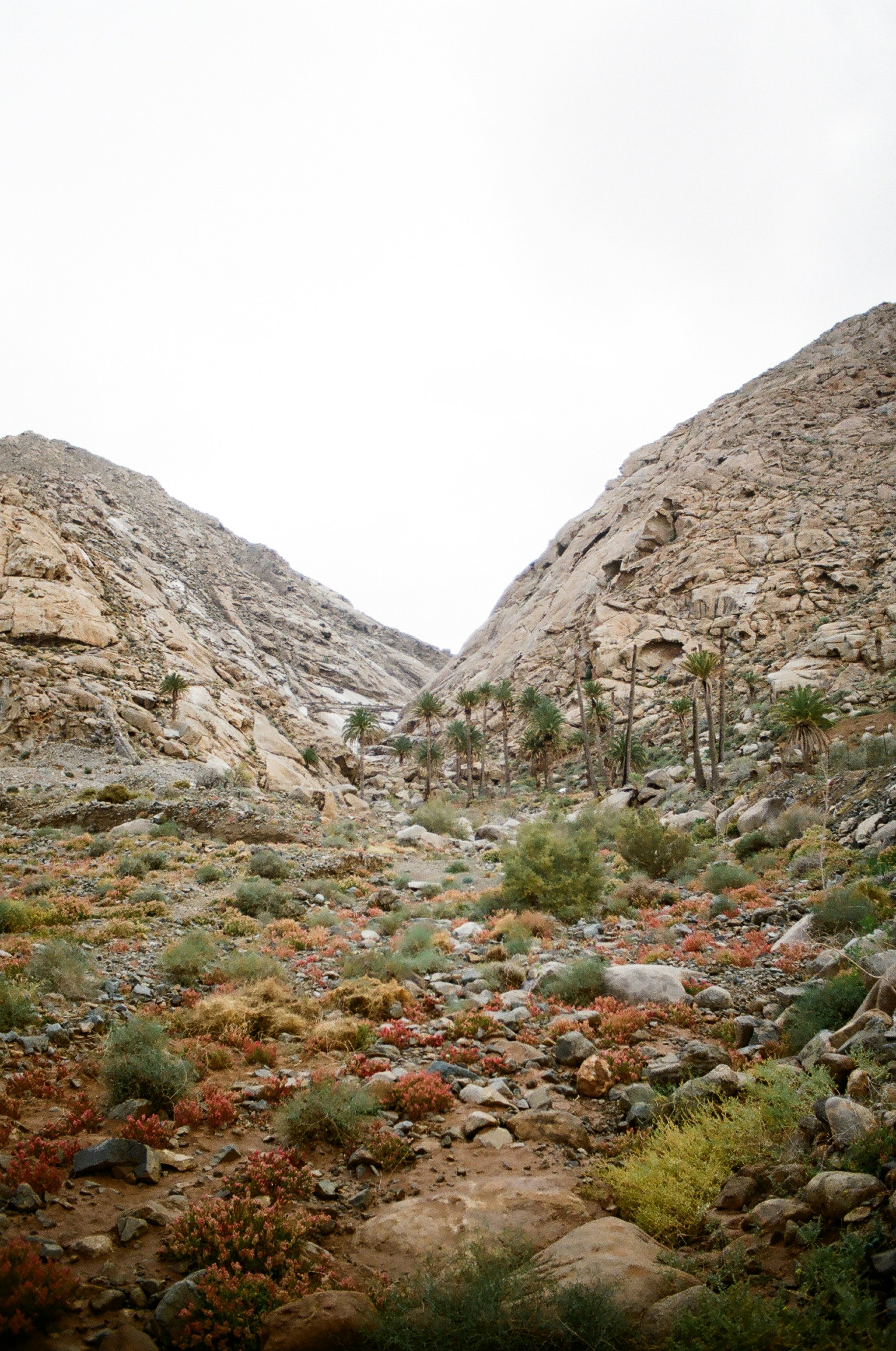 Photo by carlosjmartin