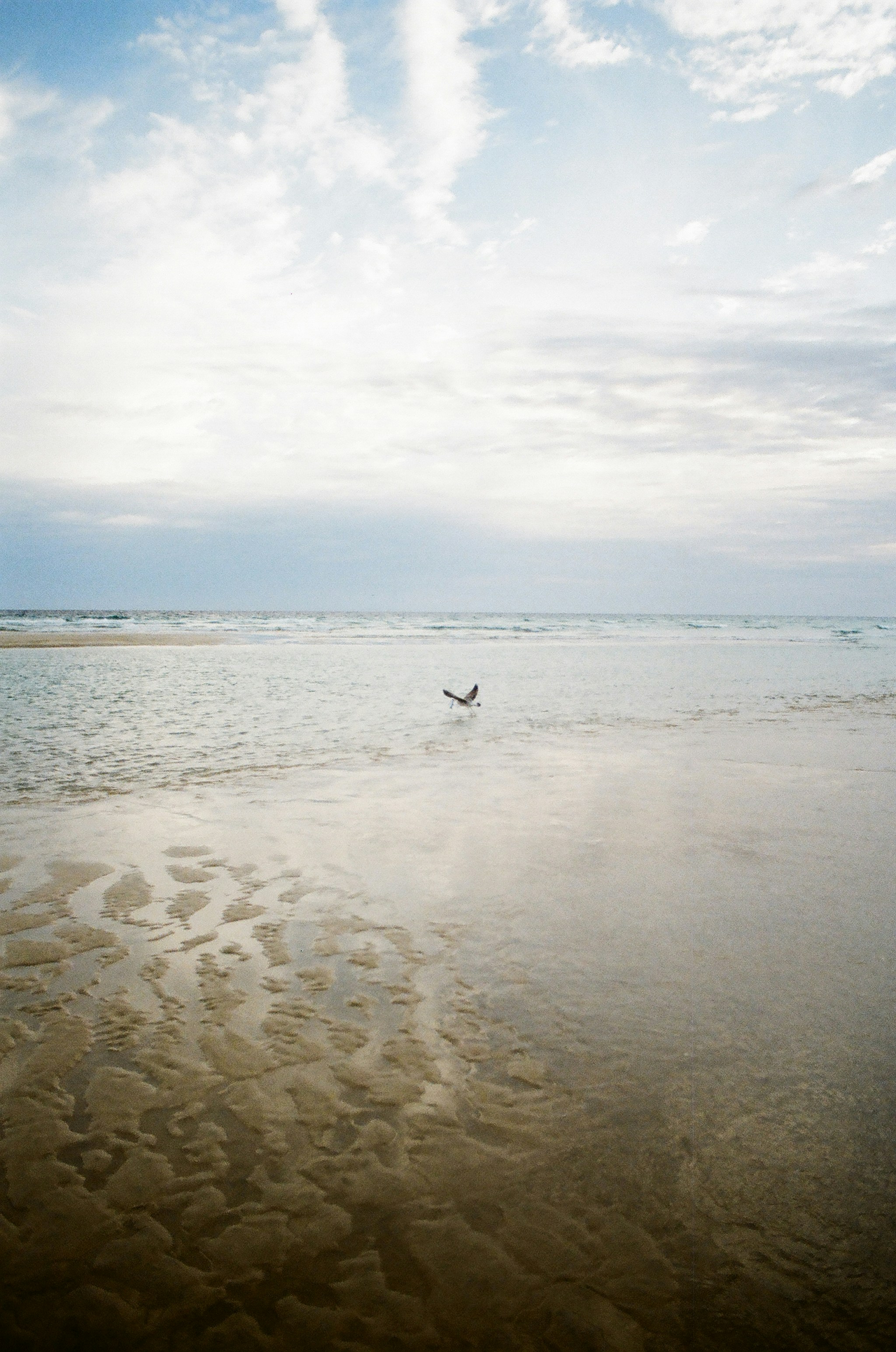 Photo by carlosjmartin