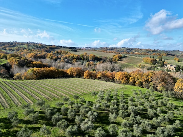 Practical Travel Guide to Acquaviva delle Fonti, Italy