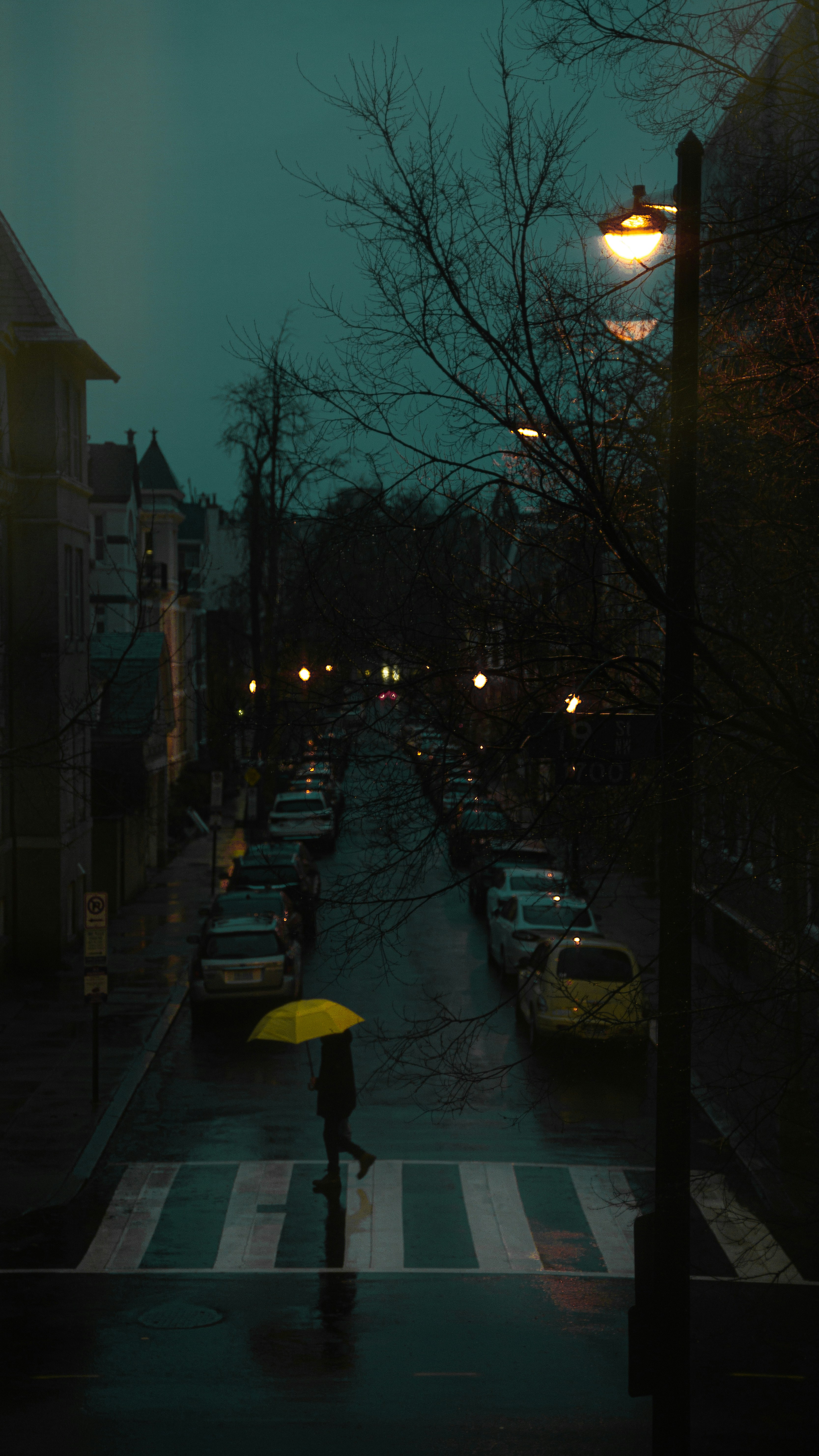 Photo by harrisonmitchell