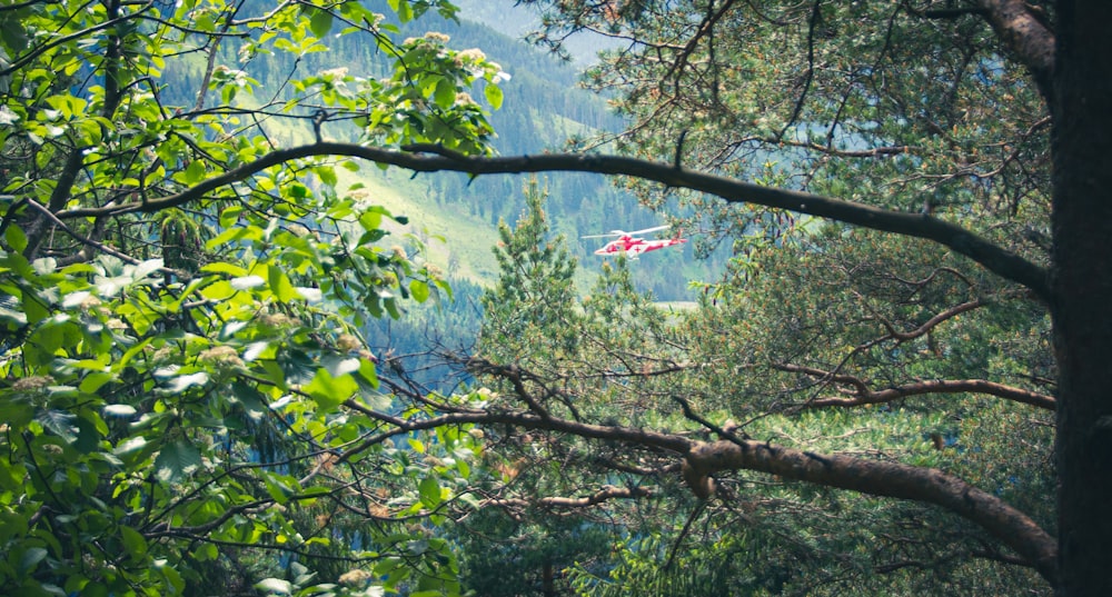 a red and white plane flying over a forest