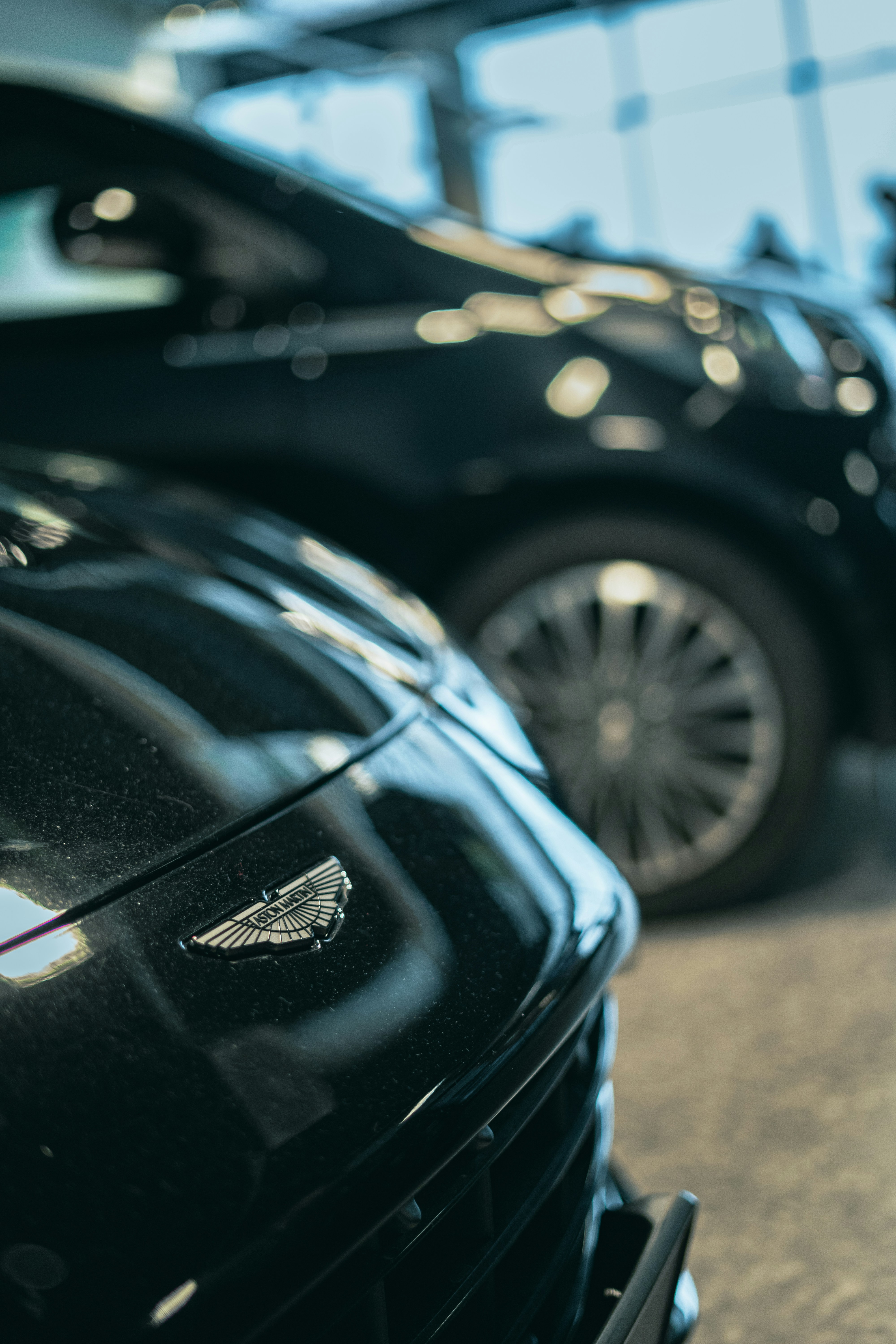 Photo by patryk_wojcieszak