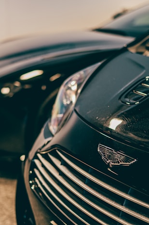 Close-up of the holo black luxury llc logo on the side of a shiny black car.
