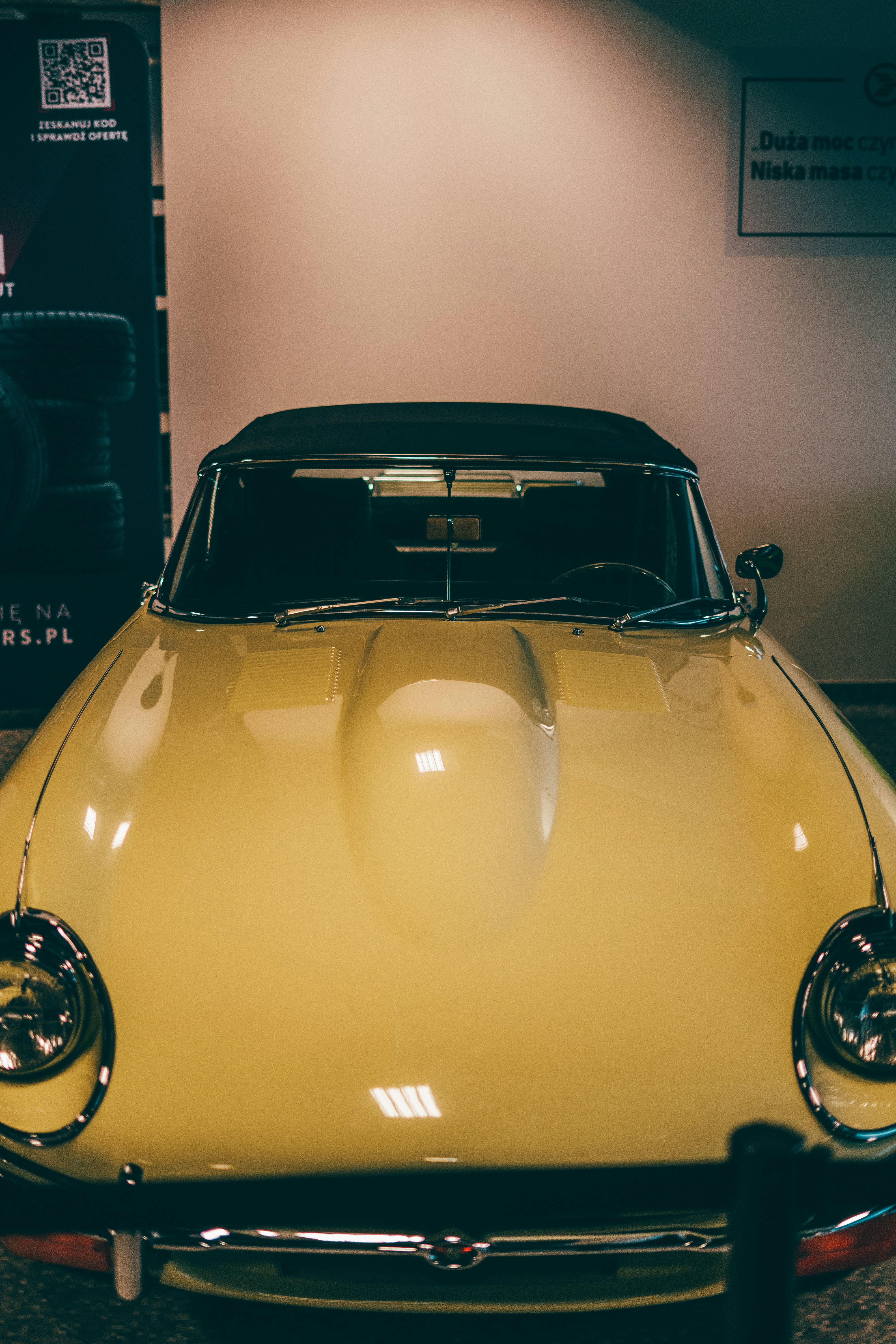 Photo by patryk_wojcieszak