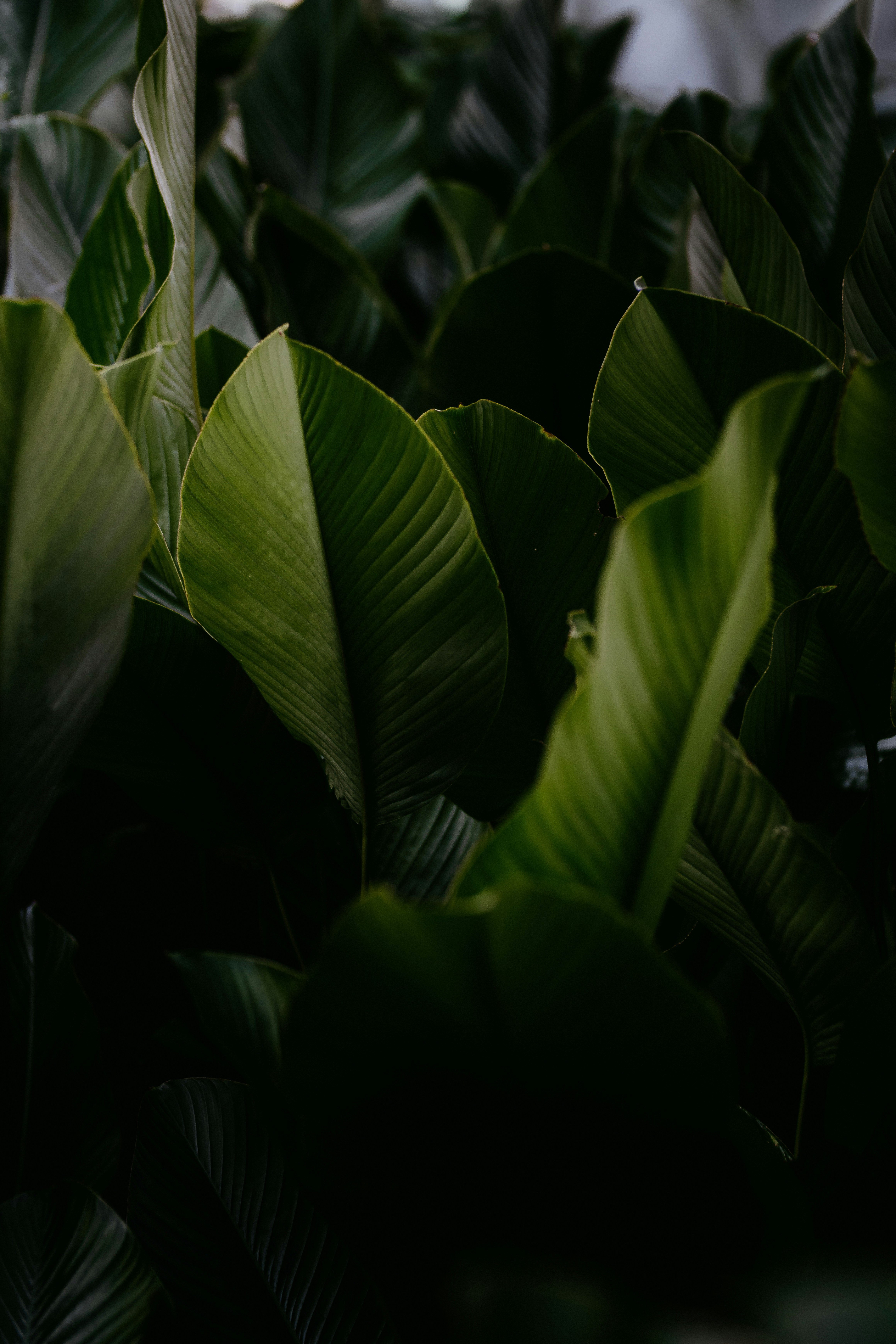 Photo by visualshotx