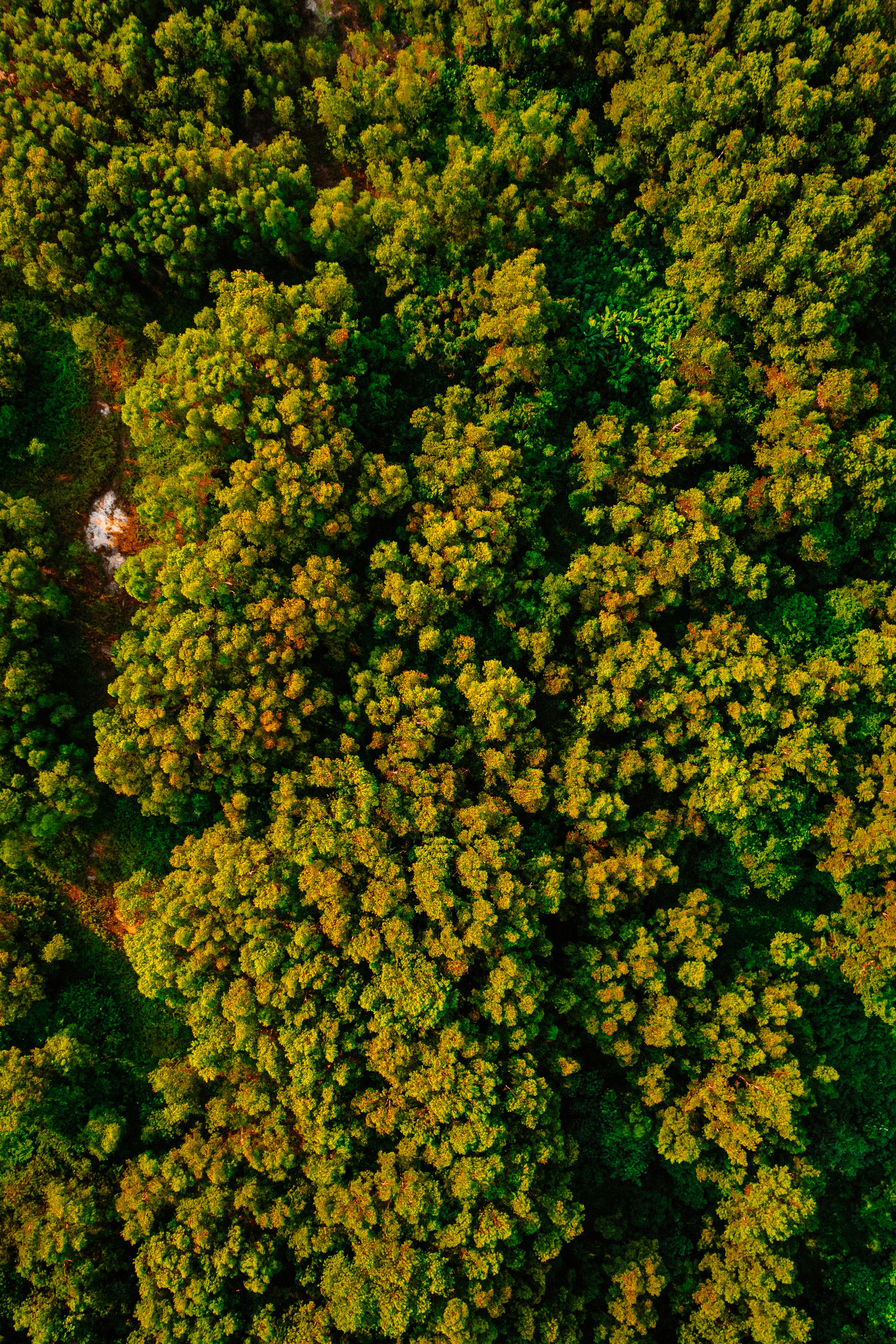 Photo by visualshotx