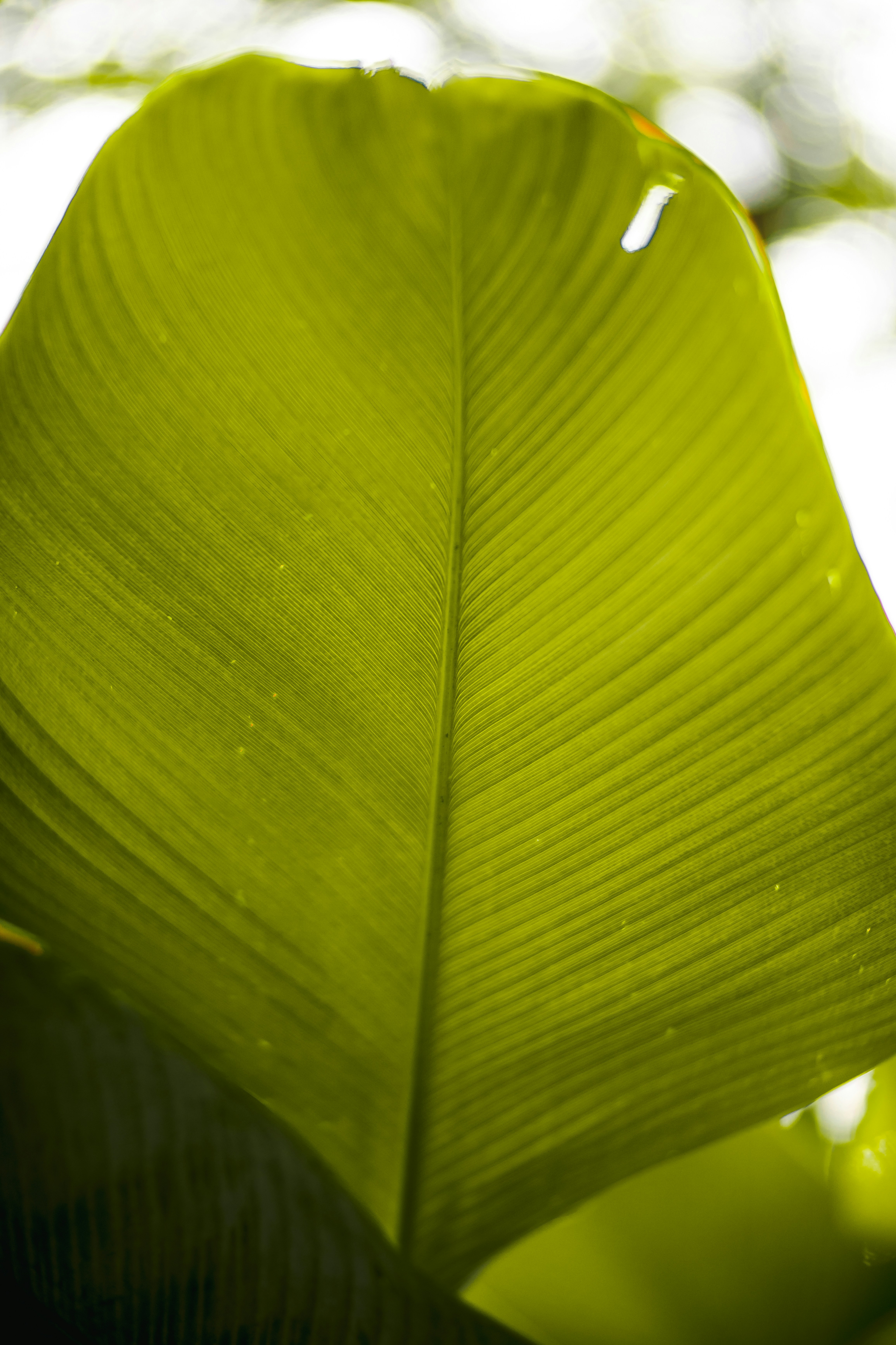 Photo by visualshotx