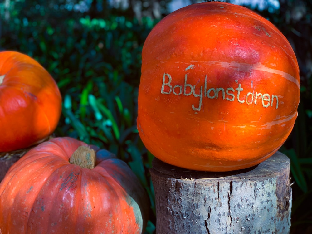 Dos calabazas sentadas encima de un tocón de árbol