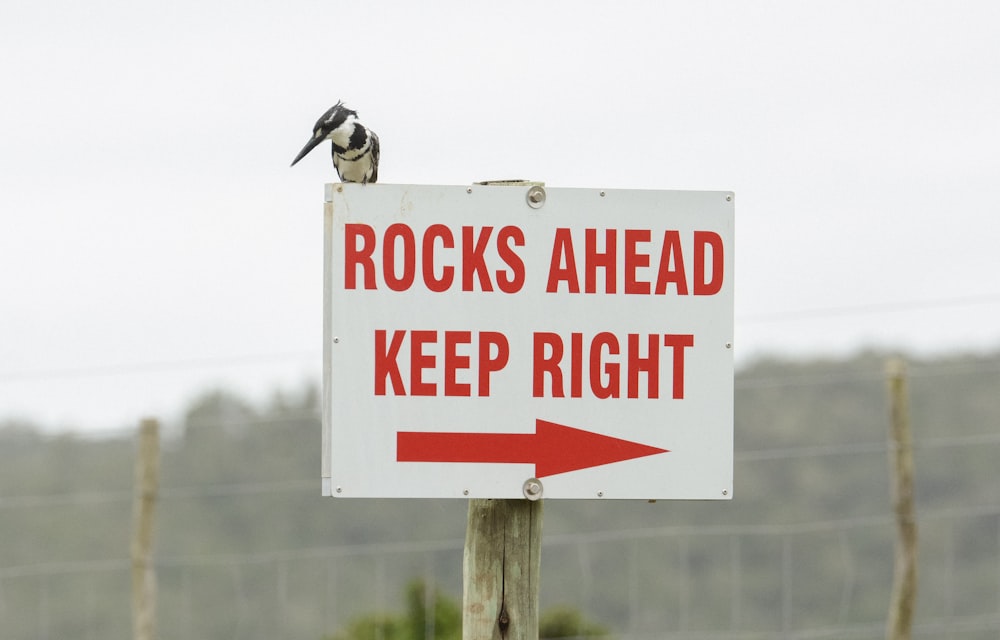 a white sign with a red arrow pointing to rocks ahead
