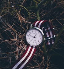 A wristwatch with a white face and black numerals surrounded by a metallic casing is placed on a background of dry grass and twigs. The watch has a striped nylon strap in red, black, and white.