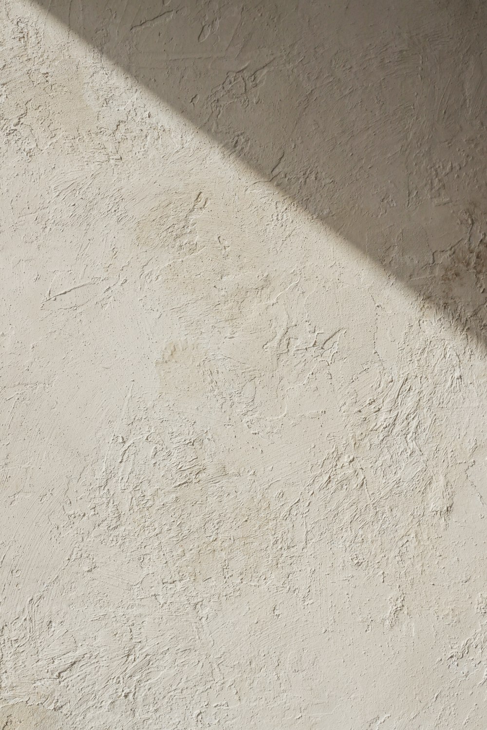 Un gato blanco y negro acostado en una pared blanca