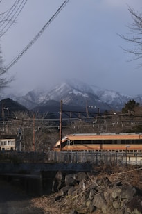 A sleek, modern train travels along a railroad track with a backdrop of misty, snow-capped mountains. Leafless trees and scattered rocks line the foreground, adding a rugged, natural element. Overhead, a network of power lines crosses the scene.
