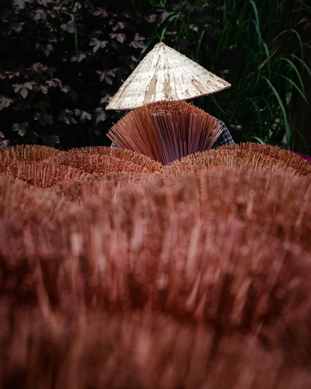 a person with an umbrella in a field of grass