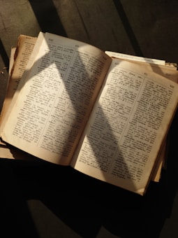 An open dictionary, pages lit by warm sunlight, rests on a flat surface. The text is clear, showing various words and definitions in fine print. Shadows from nearby objects create contrast on the pages, suggesting a peaceful and thoughtful setting.