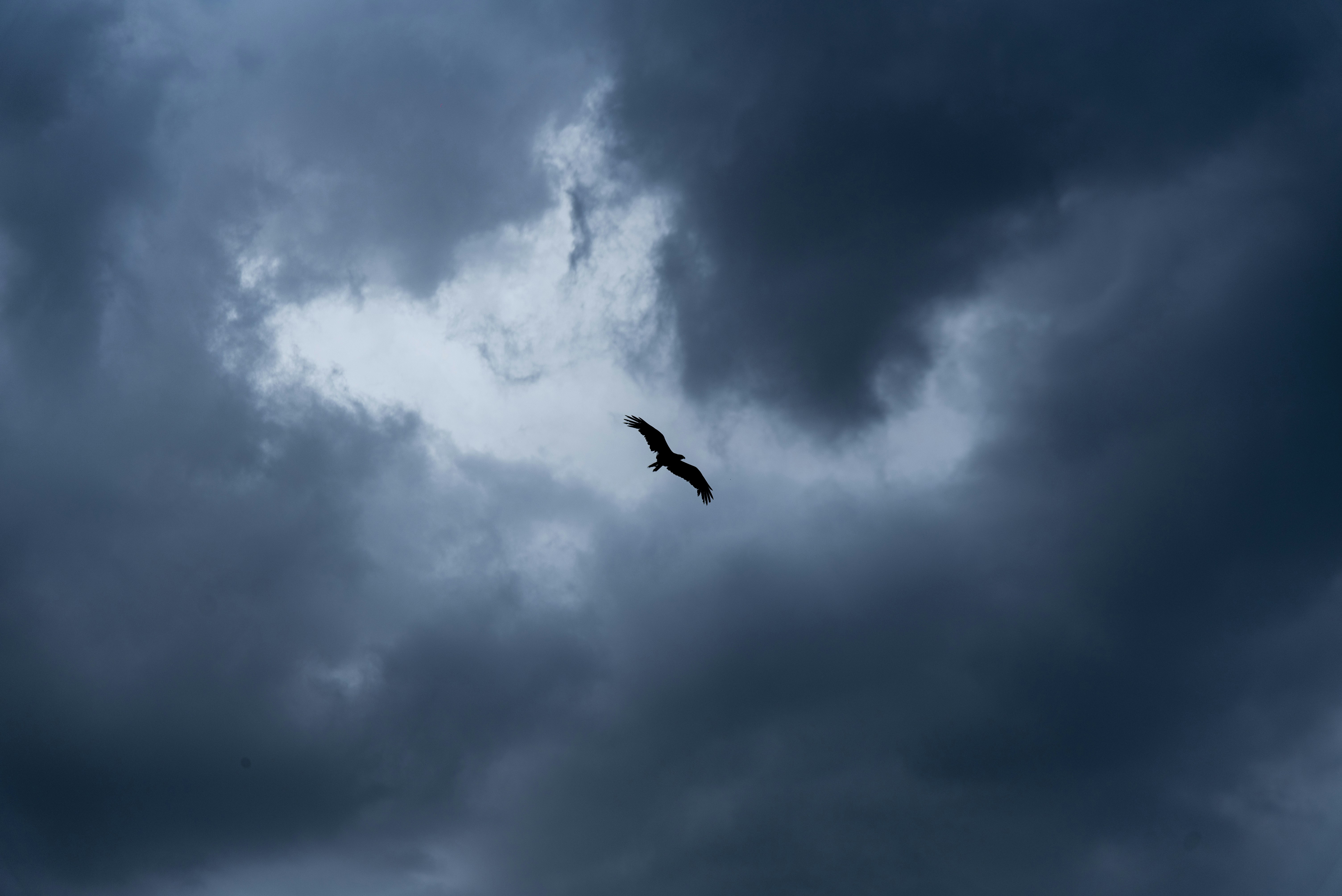 Photo by devang_punia