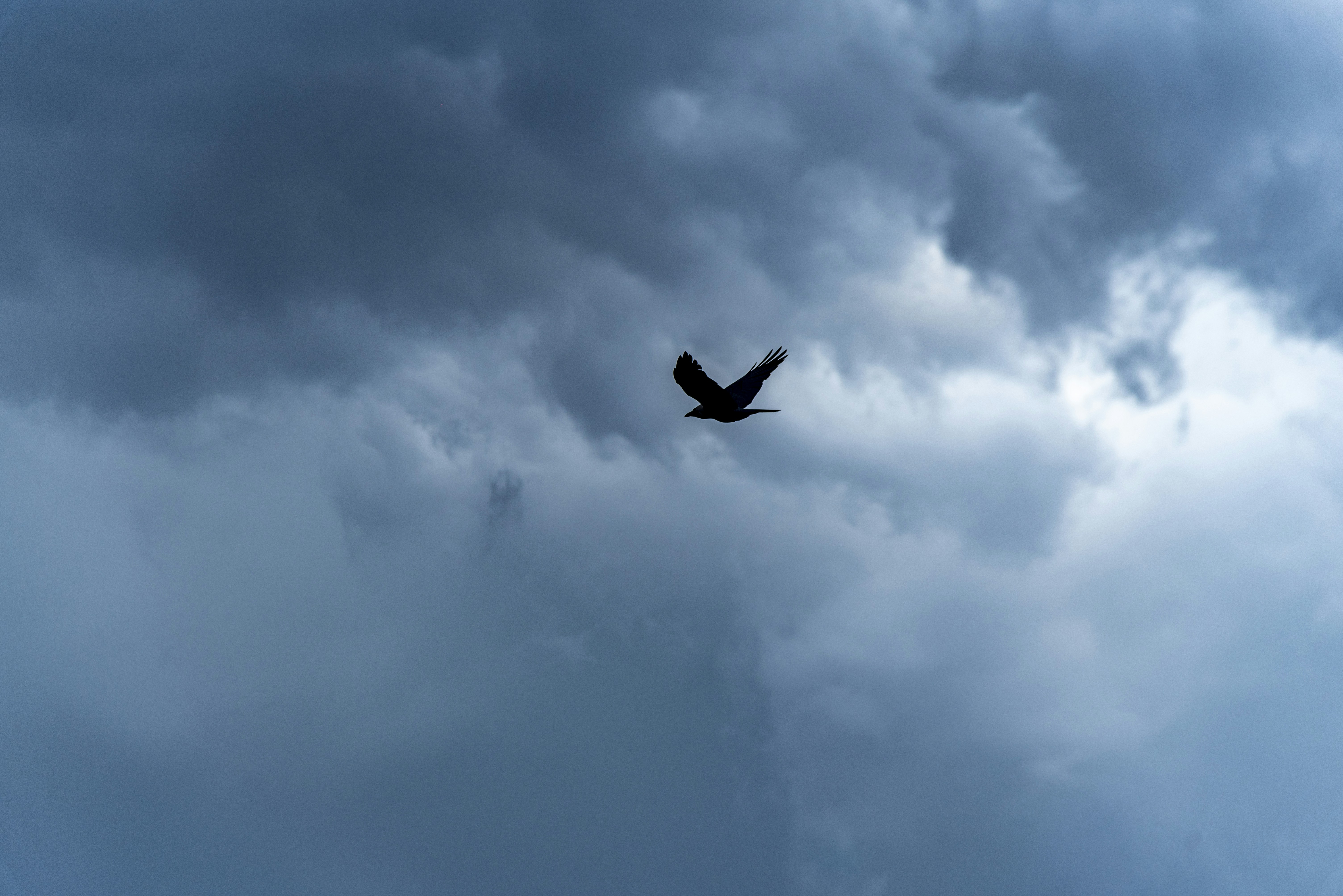 Photo by devang_punia