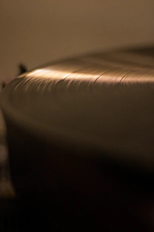 A close-up of a vinyl record spinning softly, surrounded by natural wood textures and soft, earthy lighting.