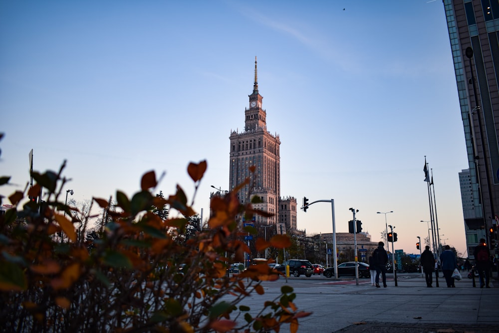 a tall clock tower towering over a city