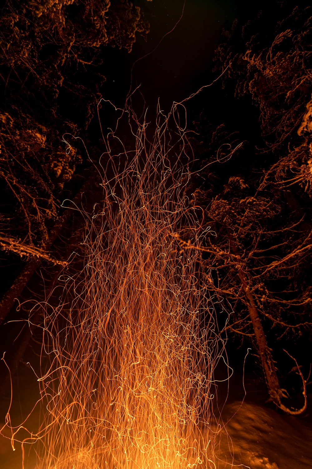 a fire in the middle of a forest at night