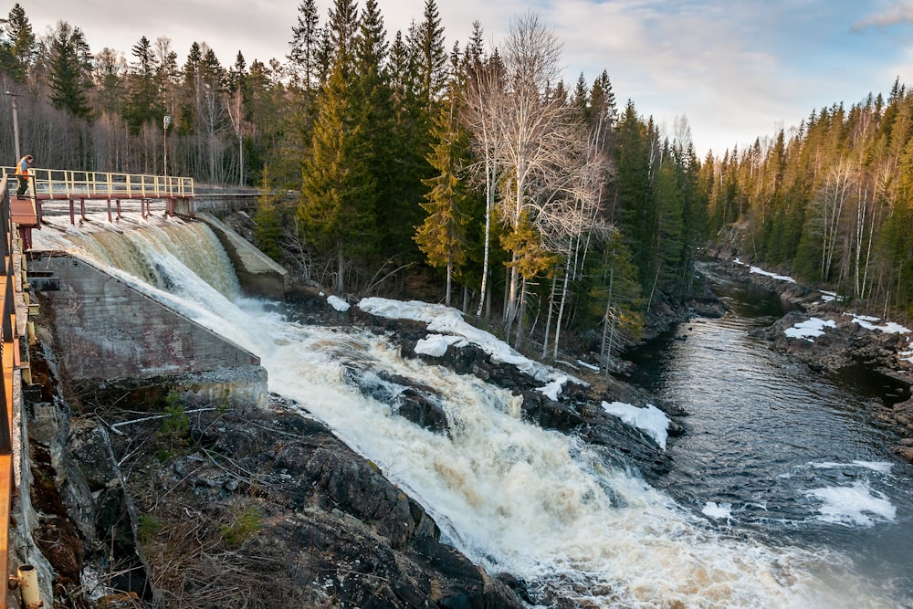 a bridge over a river next to a forest