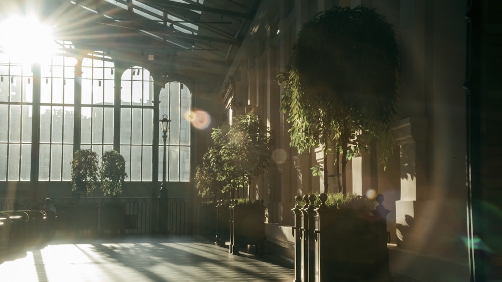 the sun is shining through the windows of a building