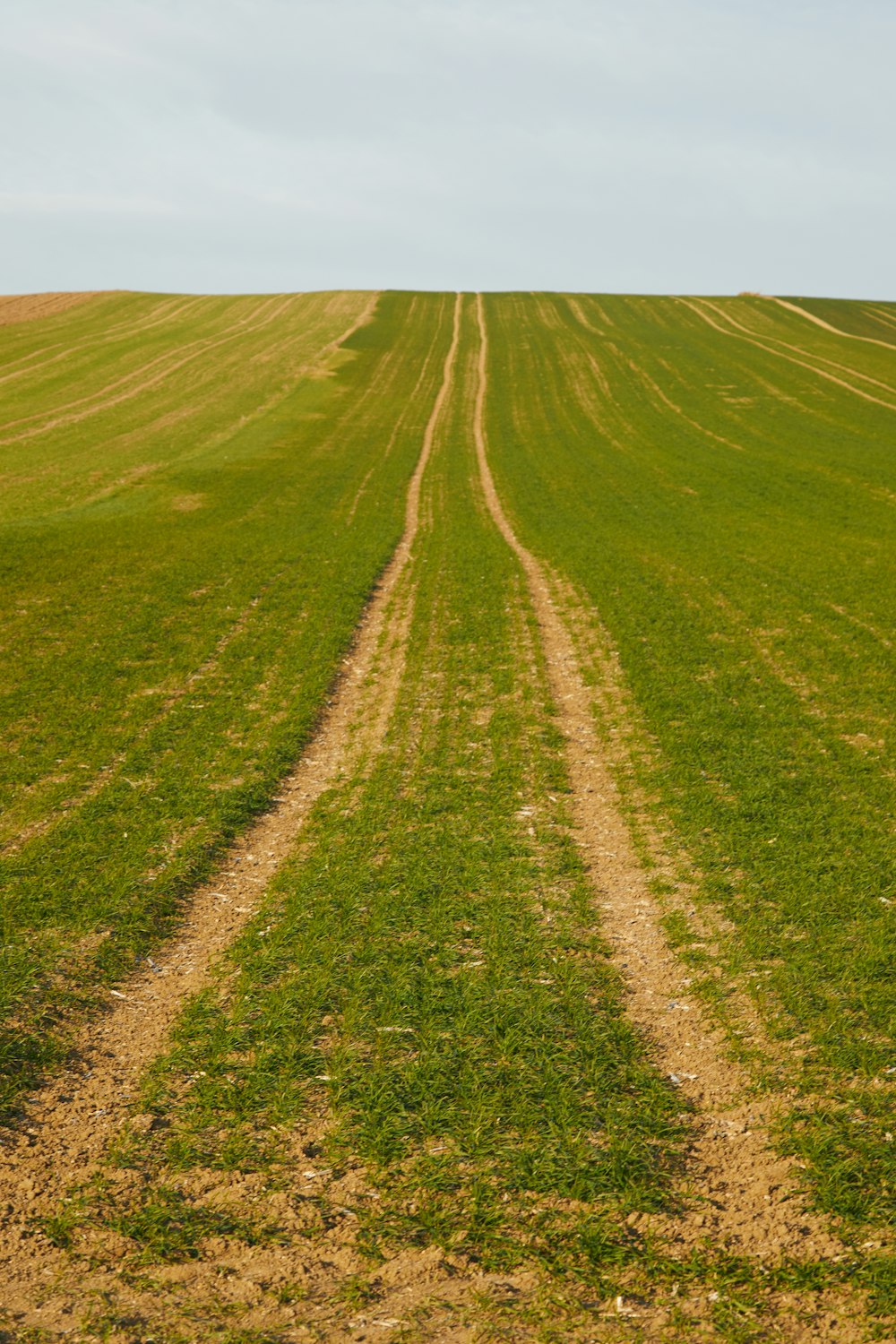 a field with two lines in the middle of it