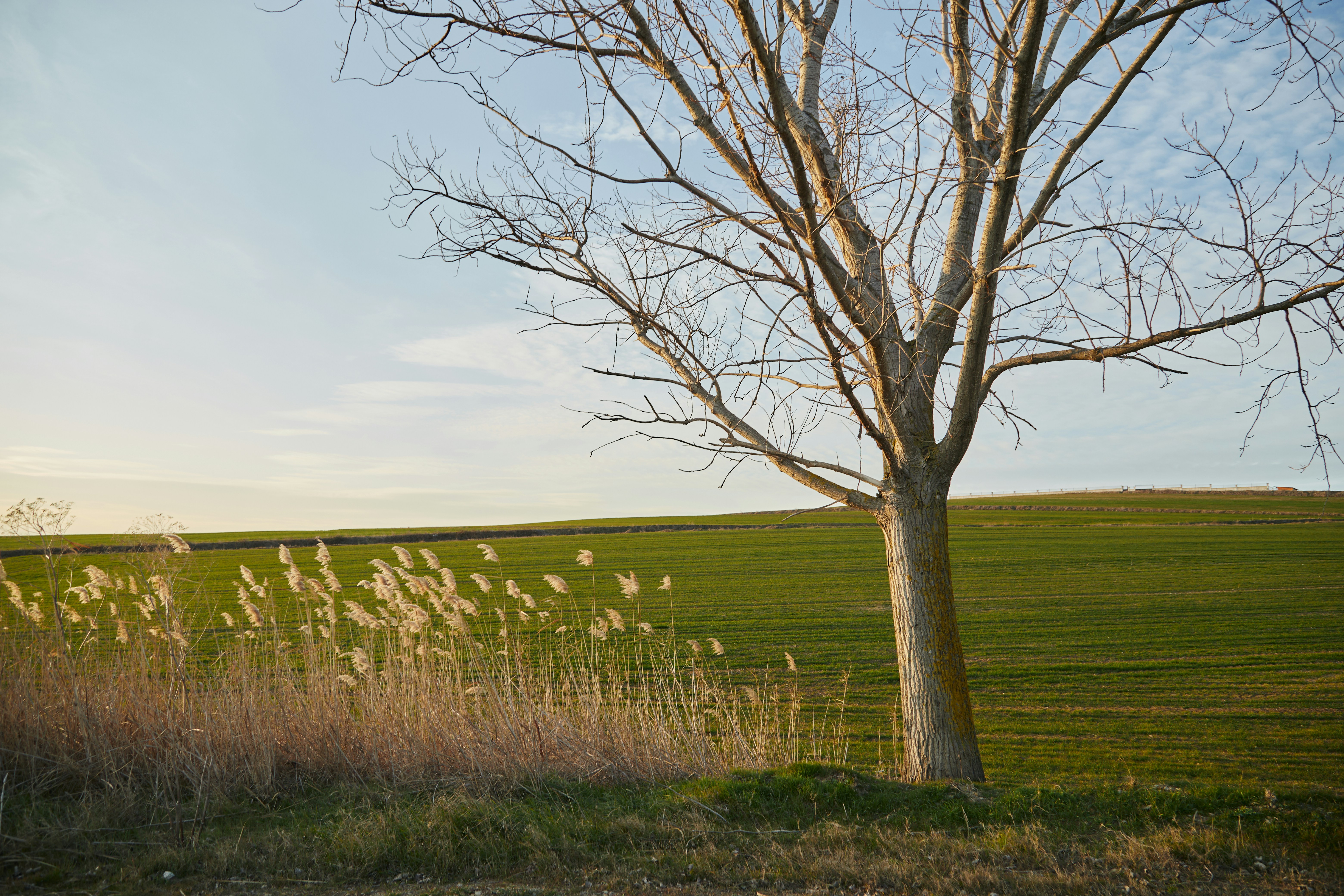 Photo by tunagraphy