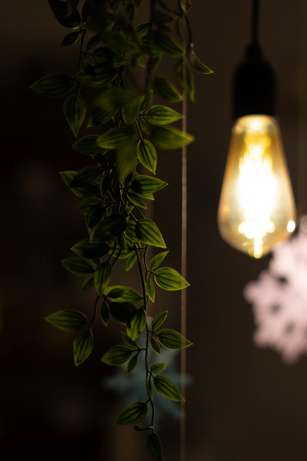 a light bulb hanging from a ceiling next to a plant