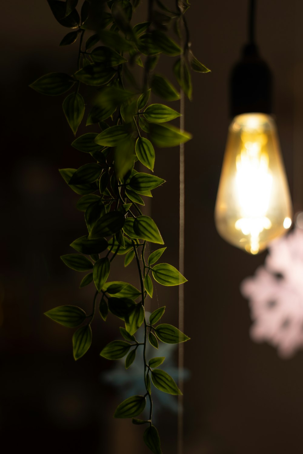 una lampadina appesa a un soffitto accanto a una pianta