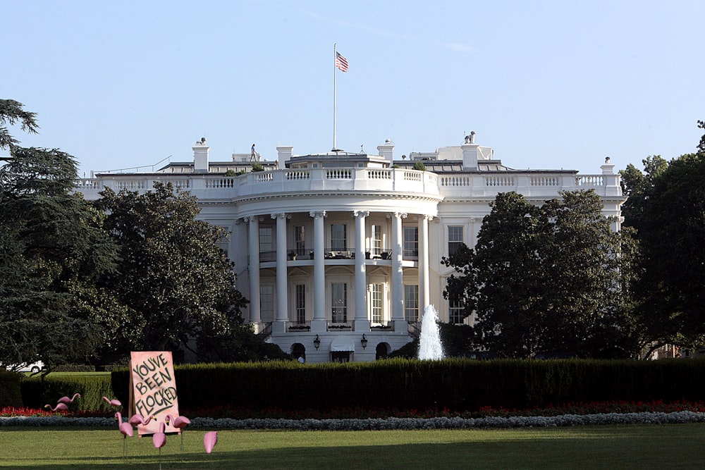 a pink protest sign in front of the white house