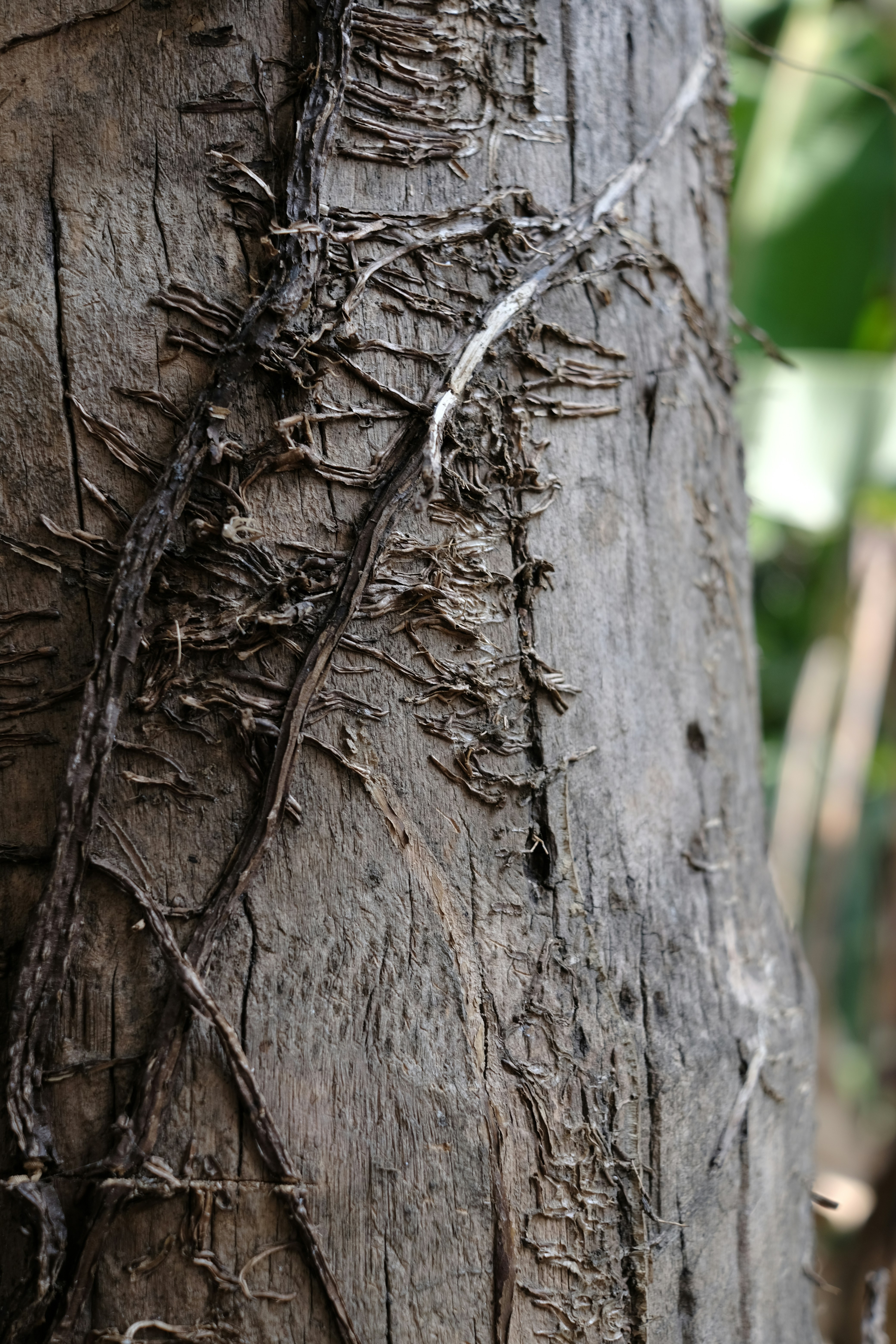 Photo by there_is_no_spoon