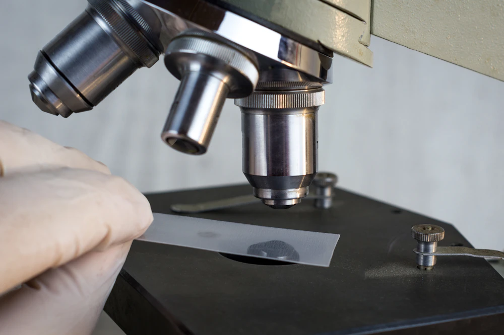 Researcher examining a stained tissue sample under a laboratory microscope, representative of the histopathology review used to train DocLane's morphology models