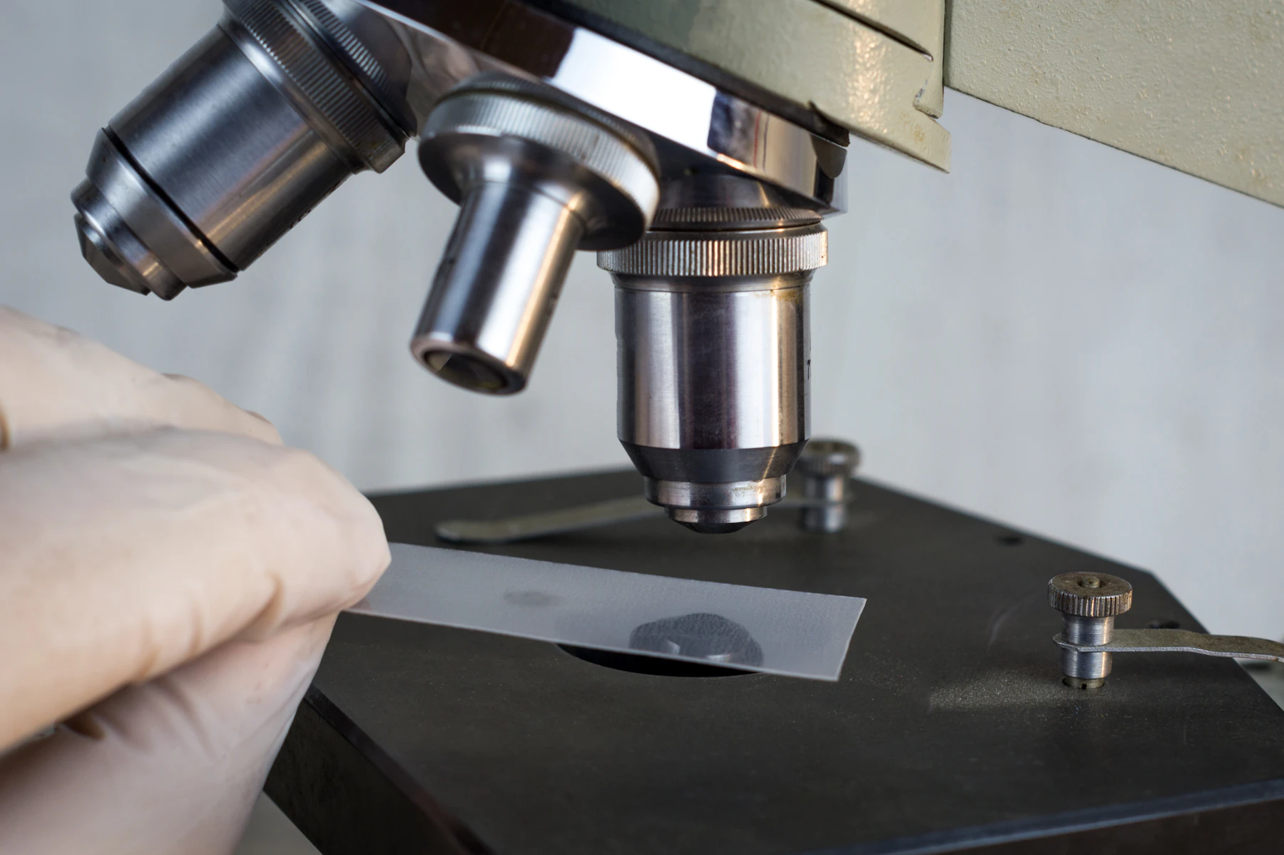 Pathologist reviewing a slide under the microscope