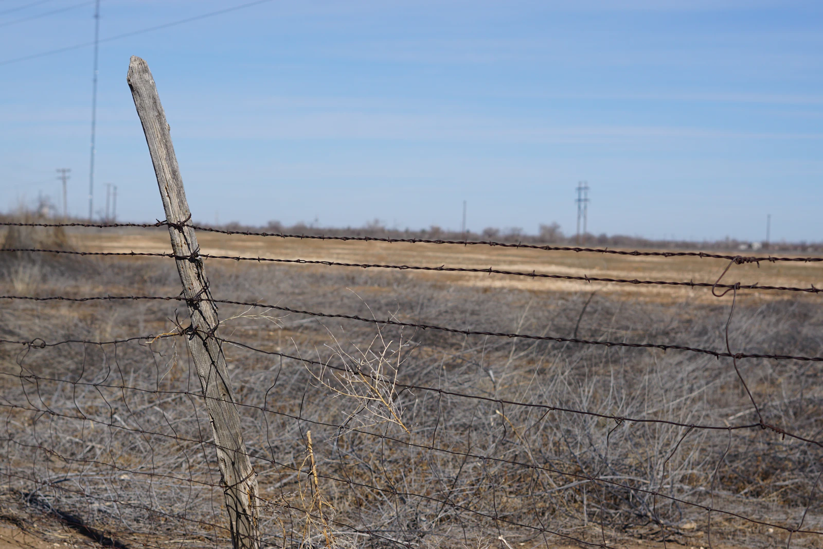 Barbed wire ranch fence on dry Texas land