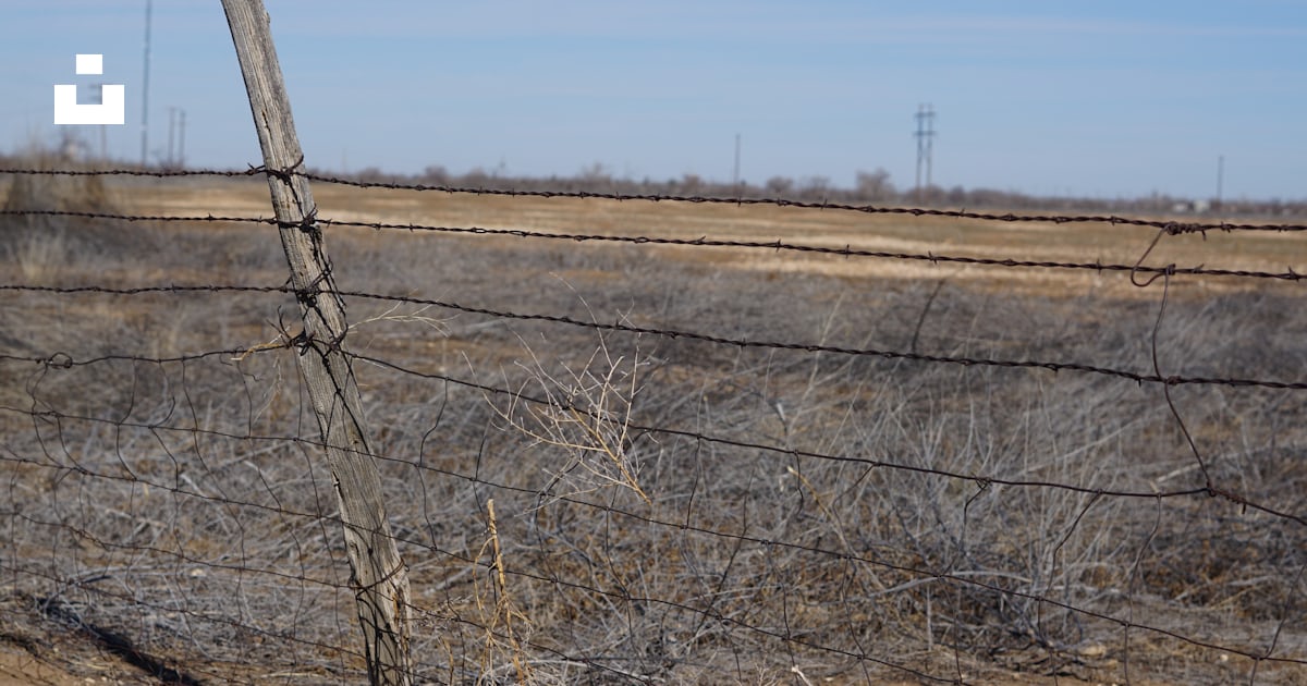 A barbed wire fence in the middle of a field photo – Free Lubbock Image
