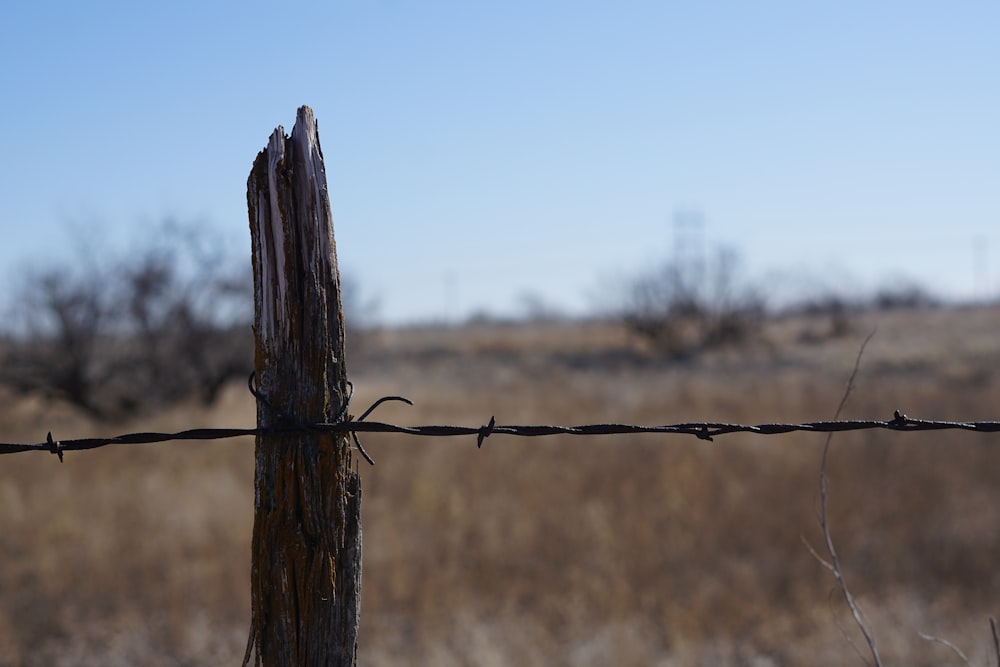 a barbed wire fence with a field in the background