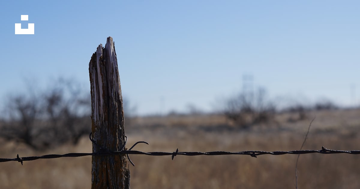 A barbed wire fence with a field in the background photo – Free Lubbock