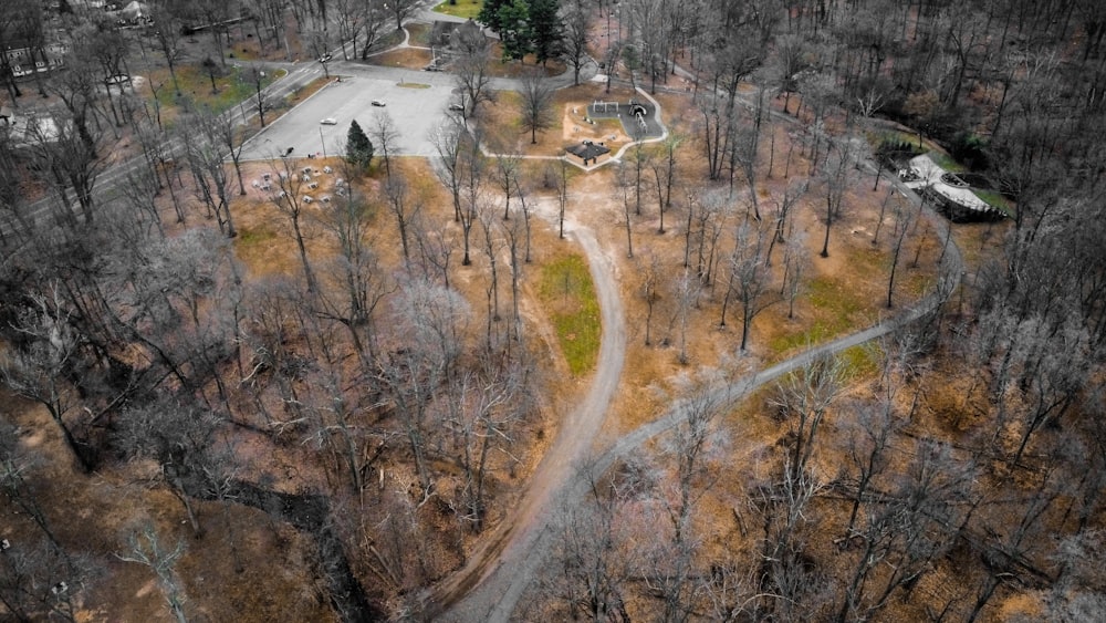 an aerial view of a dirt road surrounded by trees