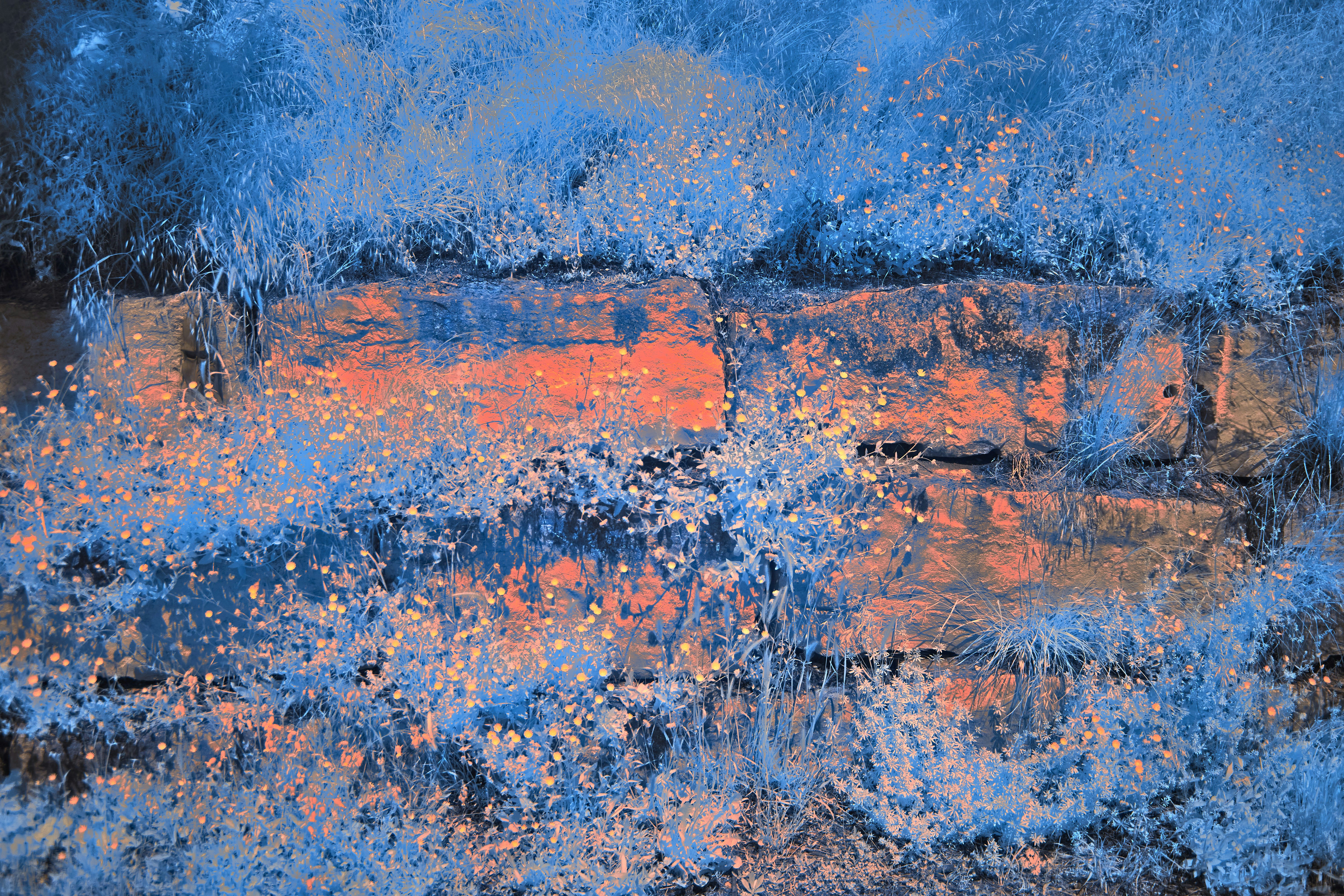 Photo by wolfgang_hasselmann